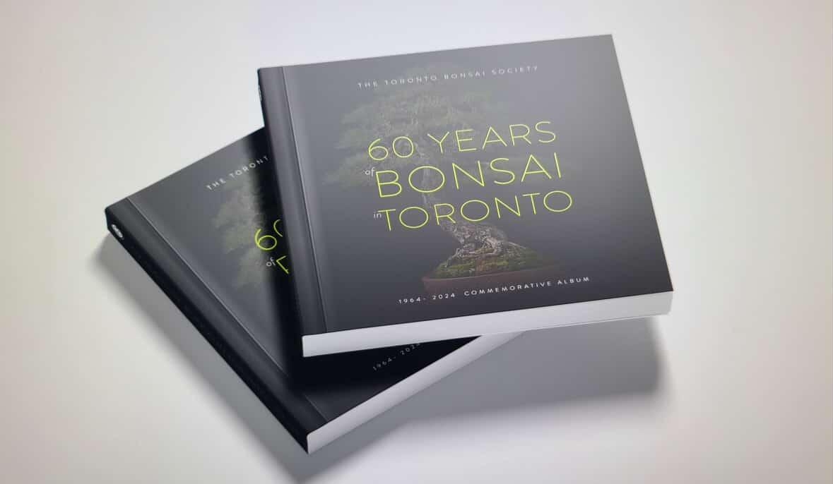 60th Album Pre-Order